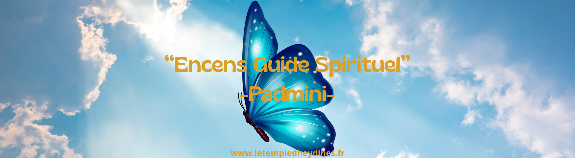 encens-en-batons-categorie-padmini-guide-spirituel-spiritual-guide-boutique-esoterique-le-temple-d-heydines